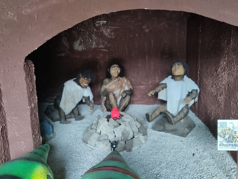 ���������� ������, ���� ����� ������, 22 ����, ������������ ��� ������, ����� � ���������