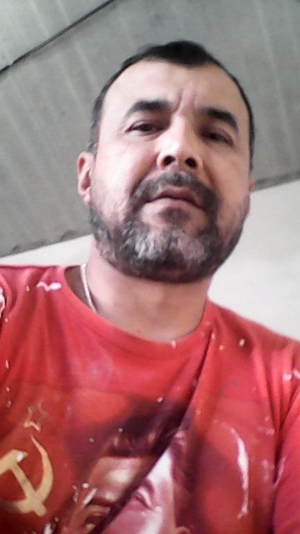  17675179  , 50 ,    