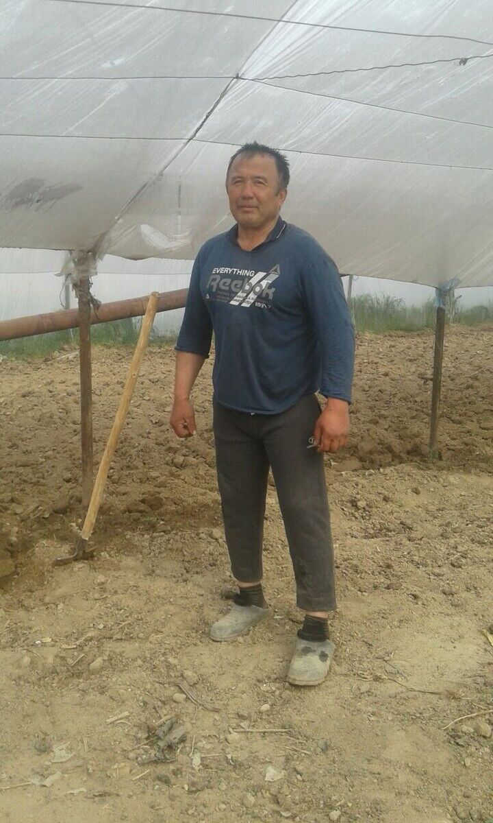 ���� 22506339 ������� �����, 52 ����, ���� ���������� � ��������