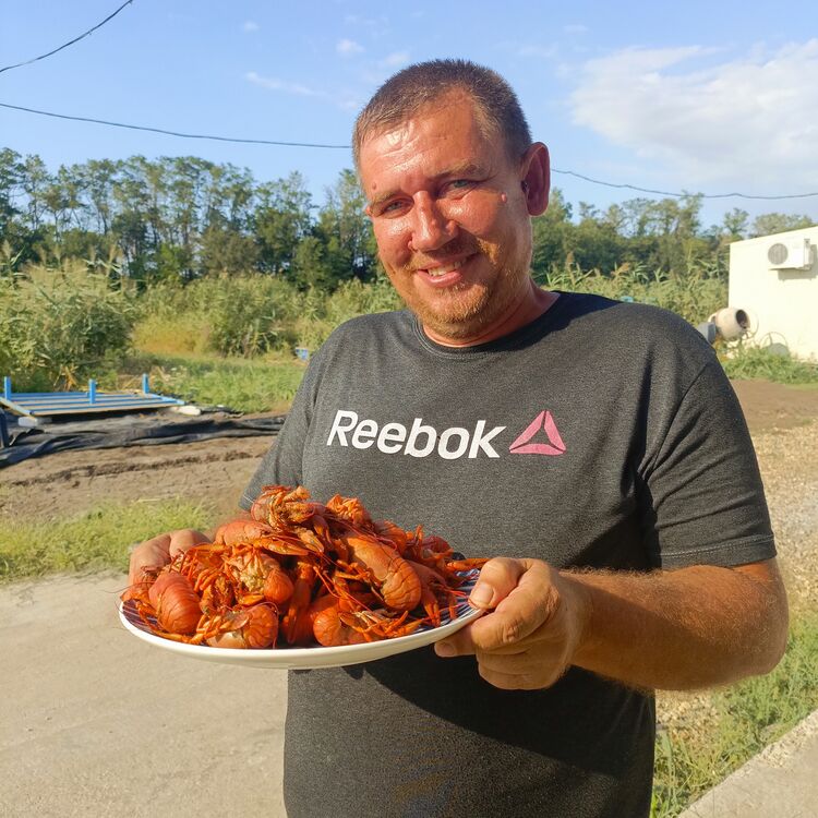 ���� 55297779 ������� ������, 44 ����, ���� ���������� � ����������