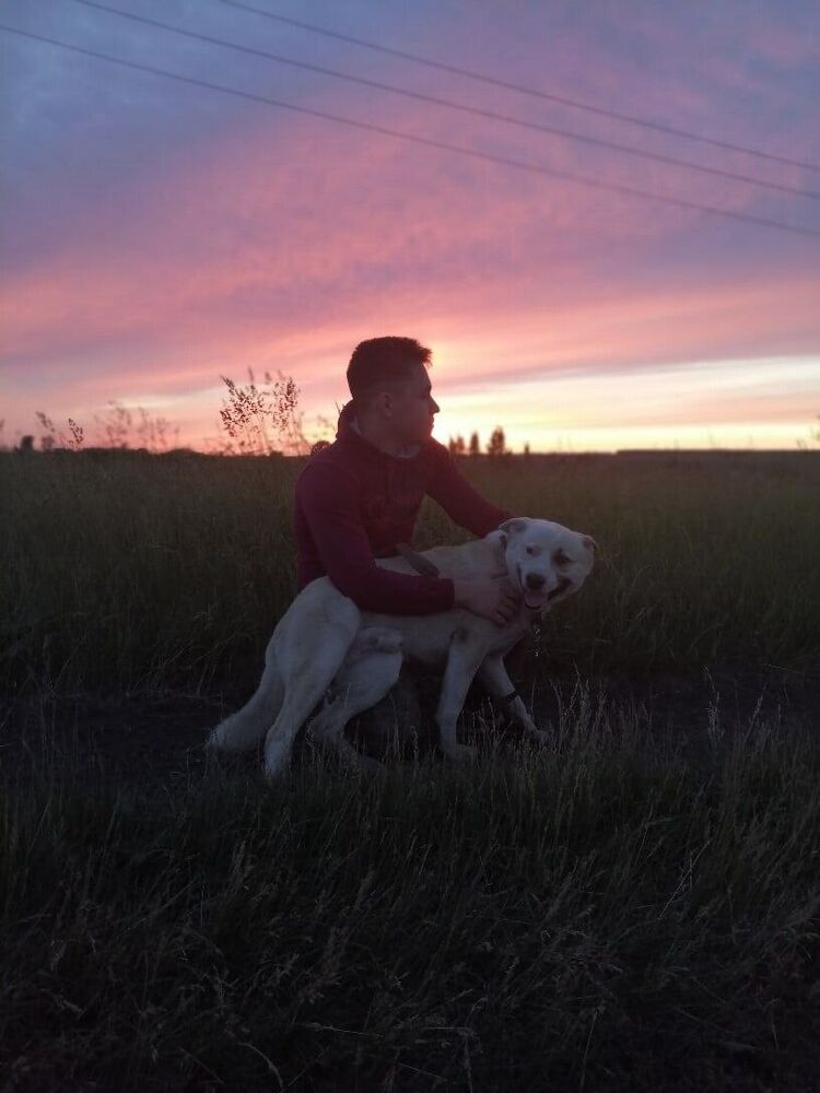 ���������� ������, ���� ����� ��������, 25 ���, ������������ ��� ������, ����� � ���������, ���������