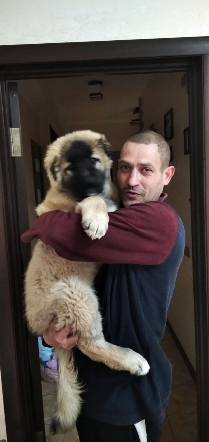 ���� 56051849 ������� �����, 45 ���, ���� ���������� � ���������-������������