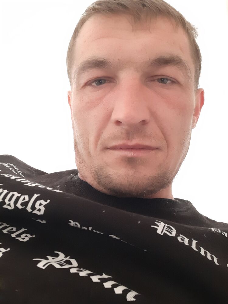 ���� 33951739 ������� �������, 36 ���, ���� ���������� � ����