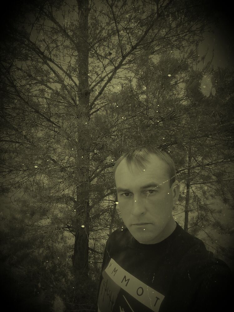  33689679  , 37 ,    