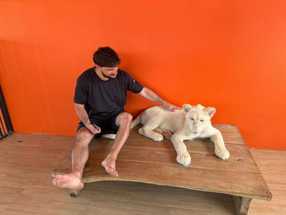 ���� 55722929 ������� Senan, 35 ���, ���� ���������� � ����