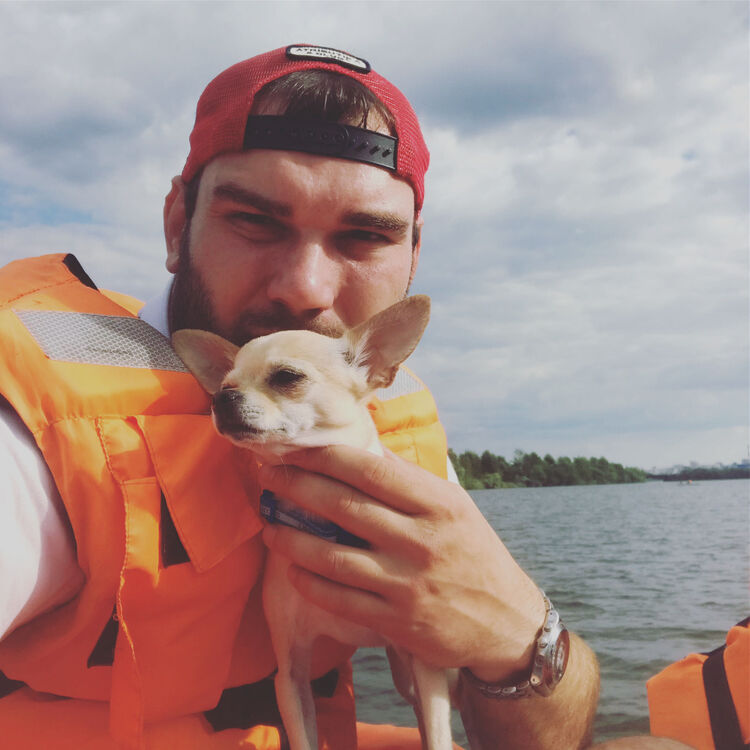 ���� 41802559 ������� ������, 33 ����, ���� ���������� � ������