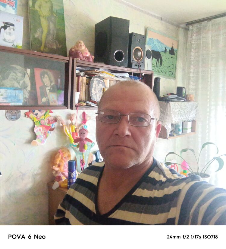  53156209  , 56 ,    