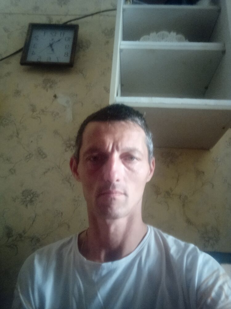  43624669  , 39 ,    