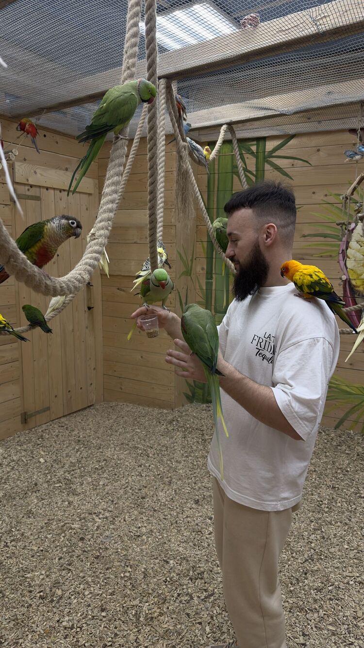 ���������� �����, ���� ������� ������, 30 ���, ������������ ��� ������, ����� � ���������, c�������� ���������