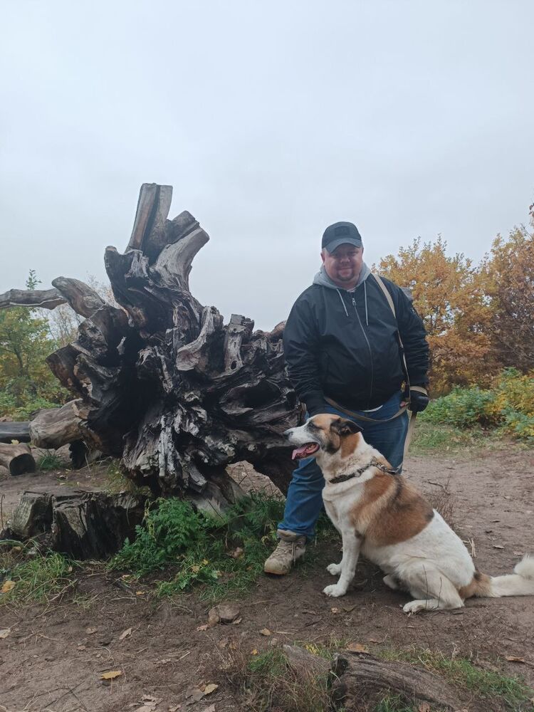 ���������� ������, ���� ������� ������, 40 ���, ������������ ��� ������, ����� � ���������, c�������� ���������