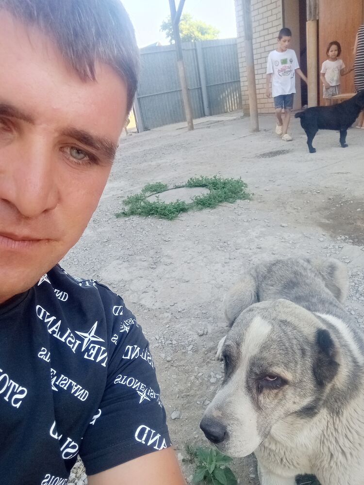 ���������� ���������, ���� ������� �������, 36 ���, ������������ ��� ������, ����� � ���������