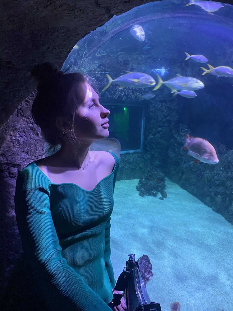  44663589  , 26 ,    -