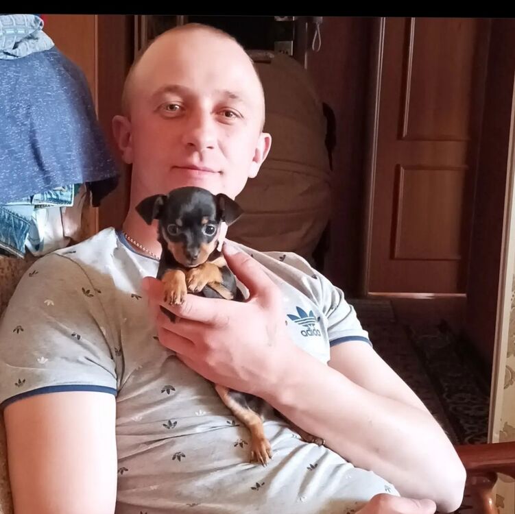 ���� 38698639 ������� ������, 33 ����, ���� ���������� � �������������