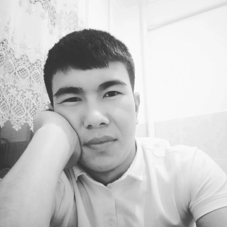  45208349  , 30 ,    