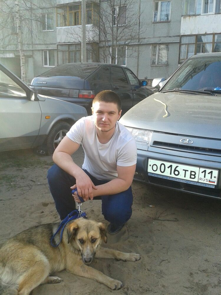 ���� 8137169 ������� ������, 34 ����, ���� ���������� � ������ ���������