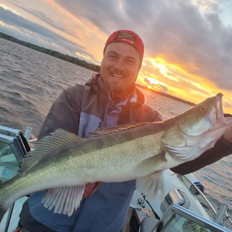 ���������� ������, ���� ������� �������, 47 ���, ������������ ��� ������, ����� � ���������