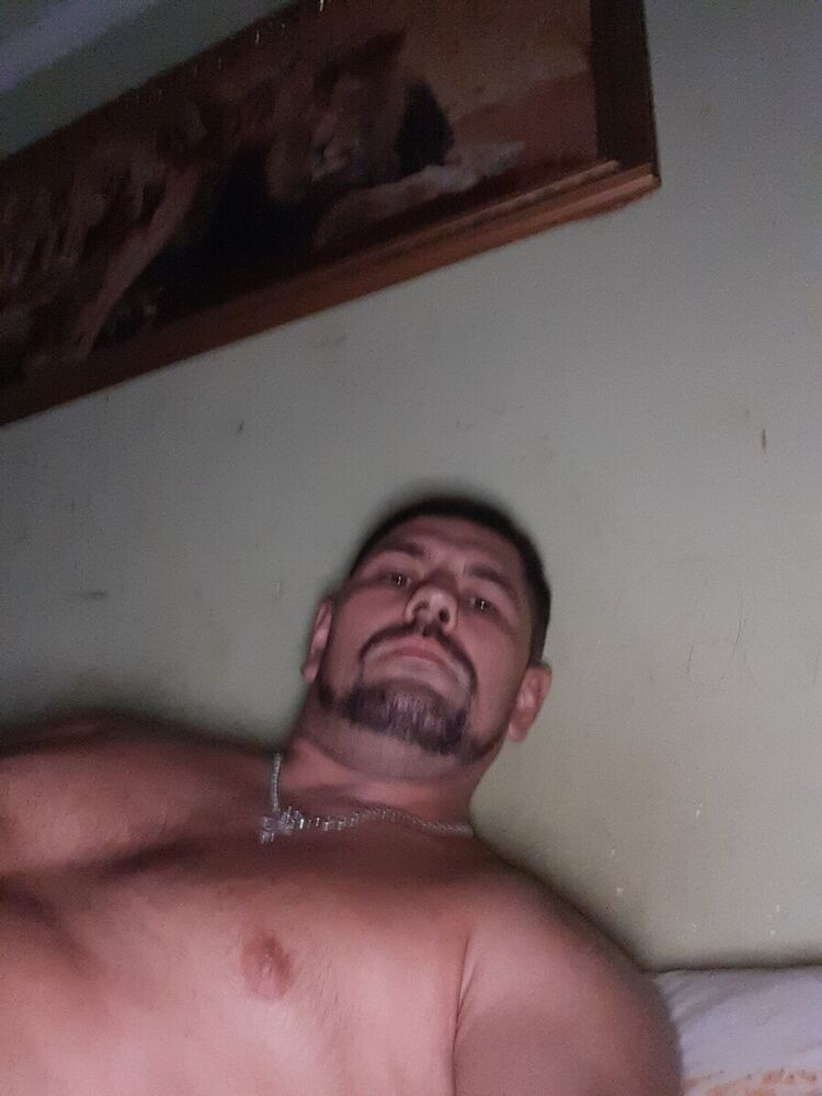  21456669  , 40 ,    