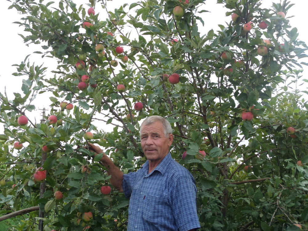 ���� 56138599 ������� ��������, 78 ���, ���� ���������� � ������