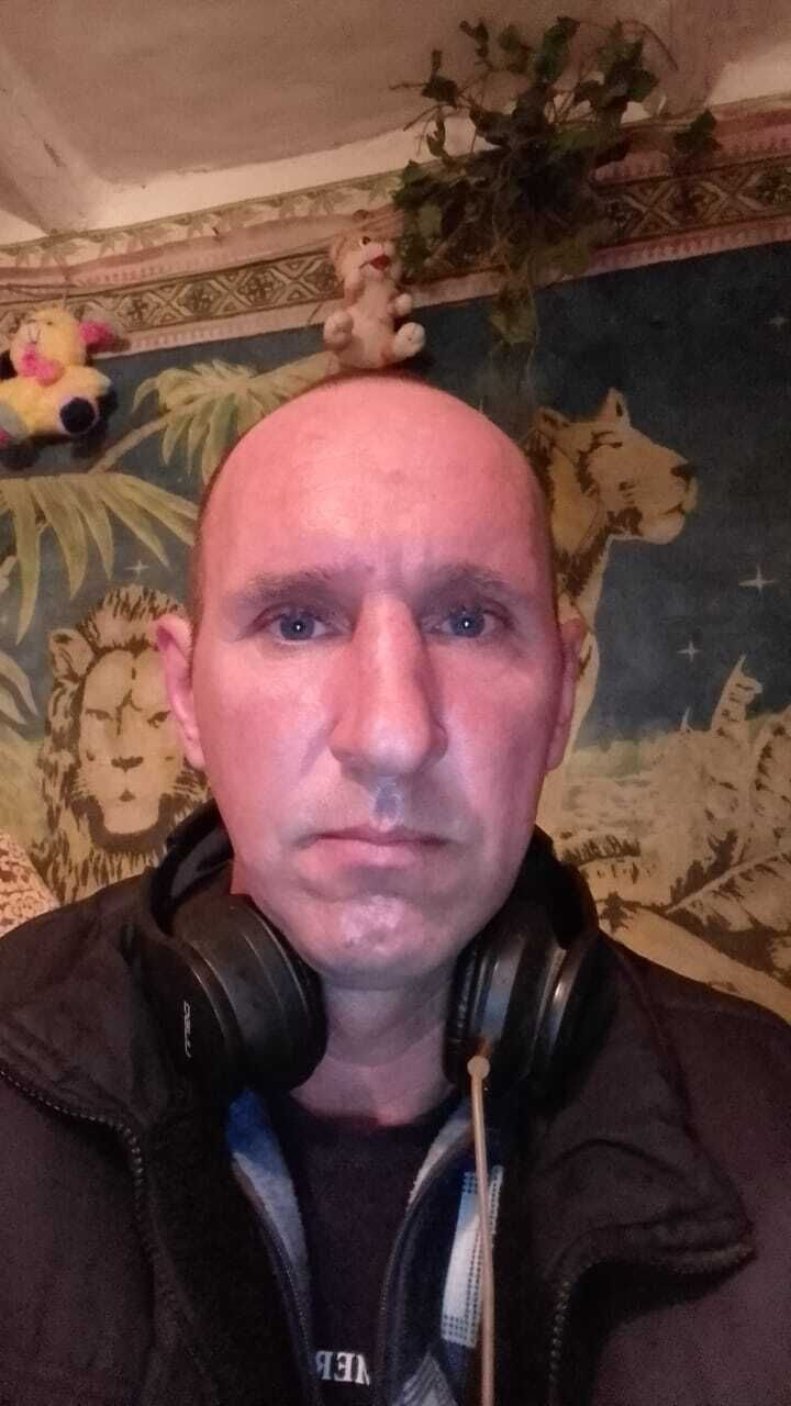  38343859  ϸ, 40 ,    