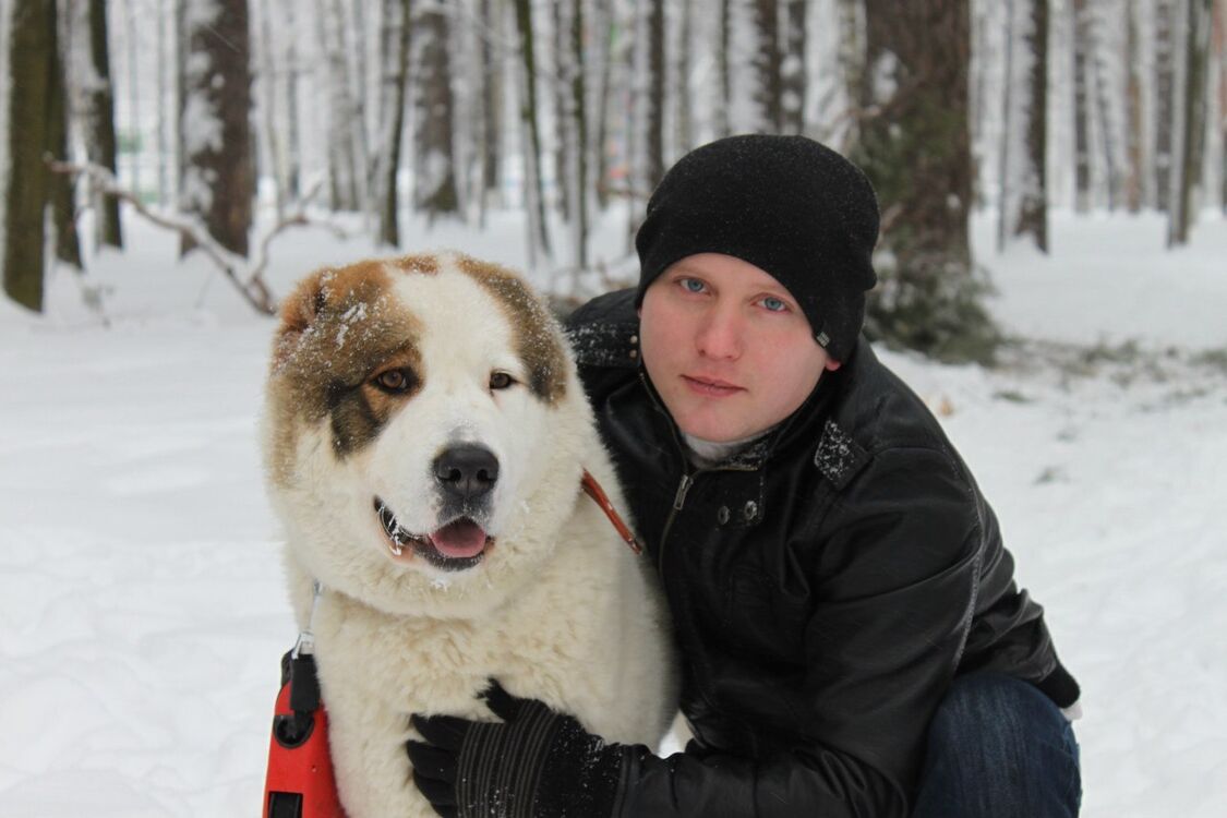 ���������� �������, ���� ������� ������, 38 ���, ������������ ��� ������, ����� � ���������, c�������� ���������, ���������