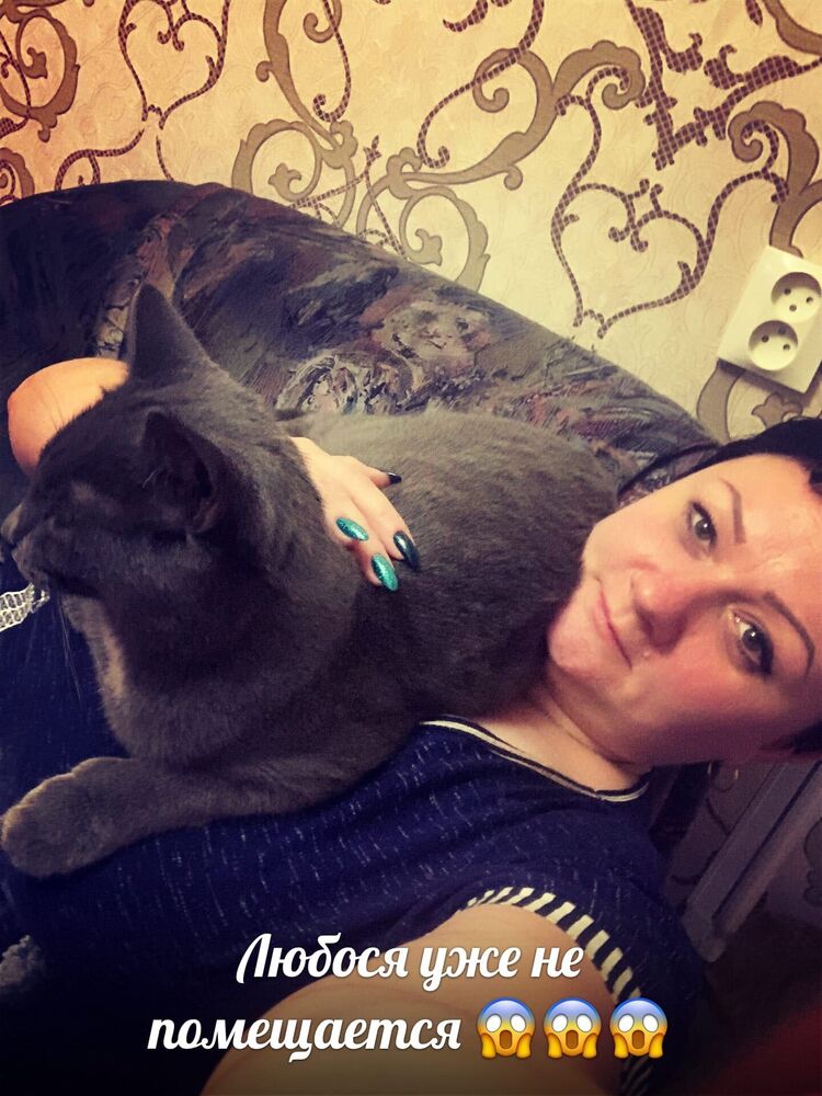 ���������� �����-���������, ���� ������� �������, 40 ���, ������������ ��� ������, ����� � ���������