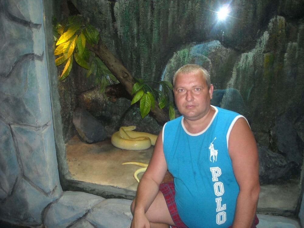 ���� 55631479 ������� ����, 48 ���, ���� ���������� � ����������