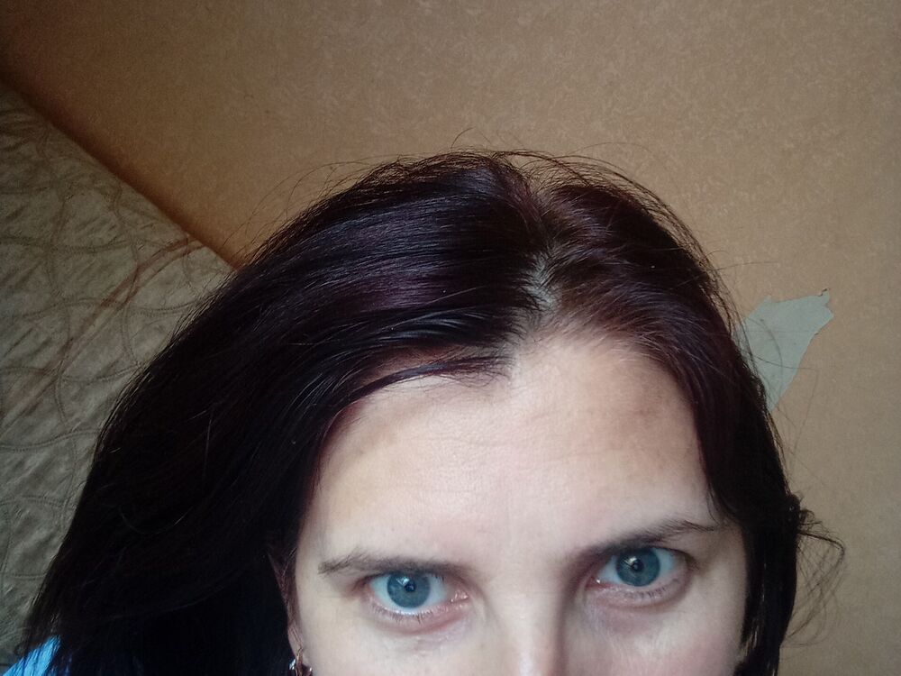 ���� 35488369 ������� �������, 44 ����, ���� ���������� � ������