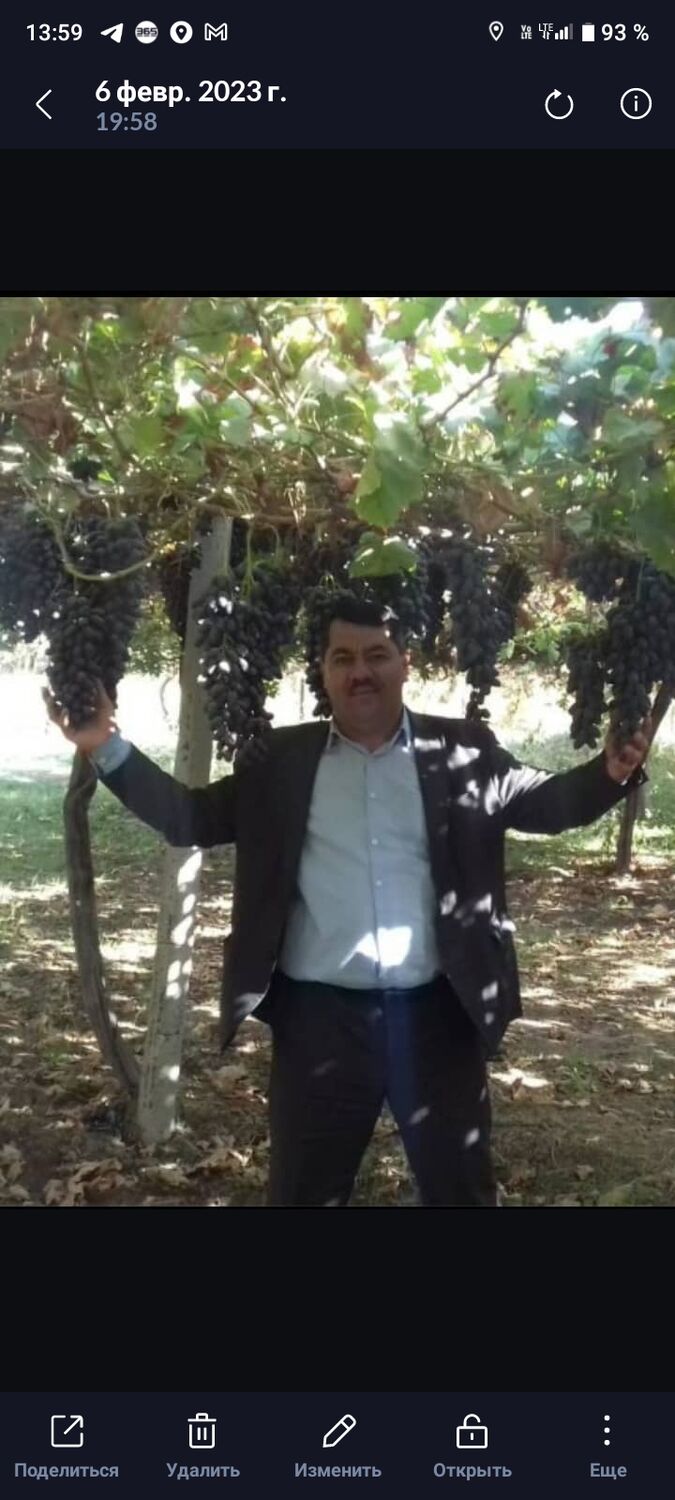 ���������� ������, ���� ������� �������, 49 ���, ������������ ��� ������, ����� � ���������