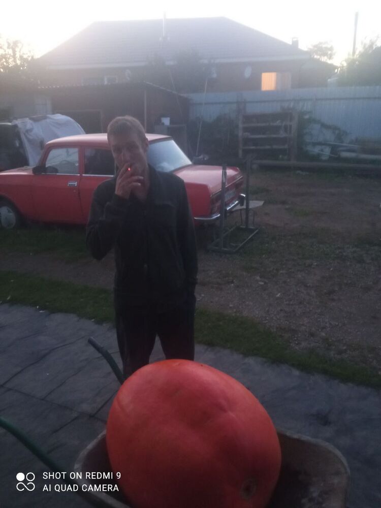  29882789  , 40 ,    