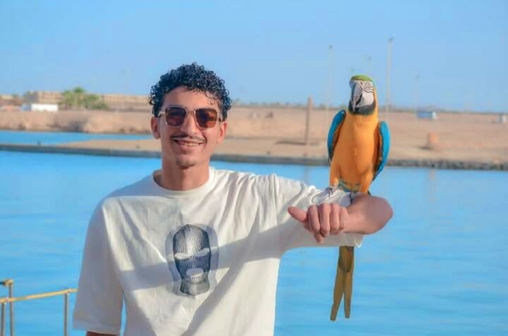  ,   Abdo, 24 ,     , c 