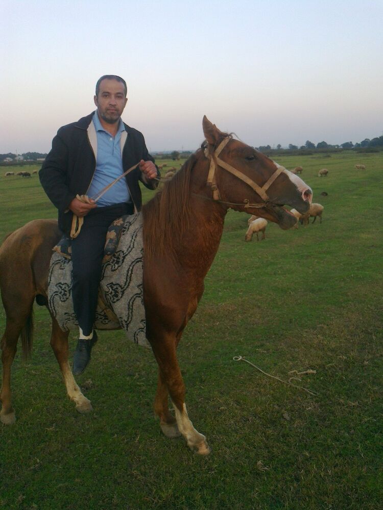 ���� 10444969 ������� X����, 45 ���, ���� ���������� � �����-����������