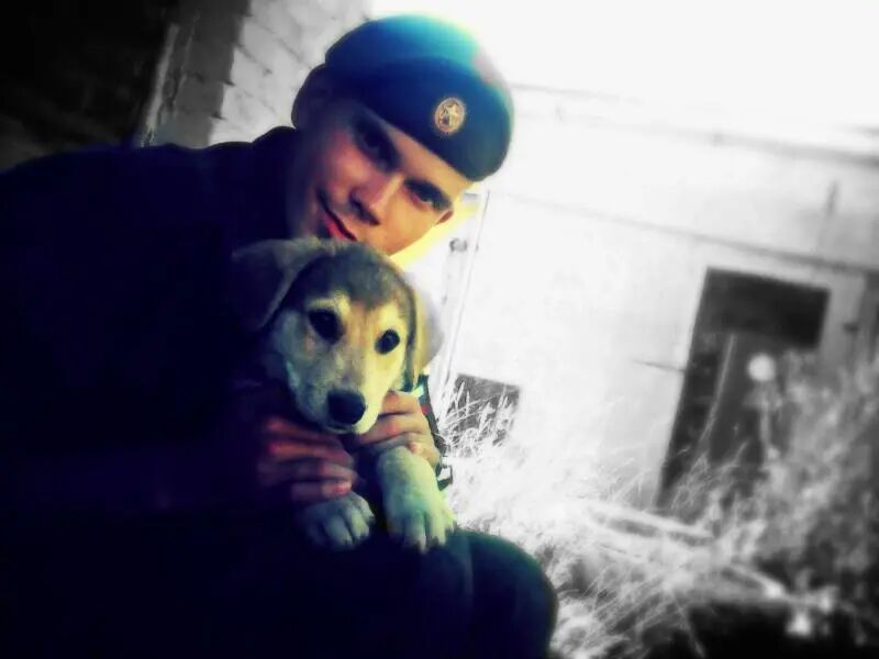 ���������� ���������, ���� ������� ���������, 29 ���, ������������ ��� ������, ����� � ���������