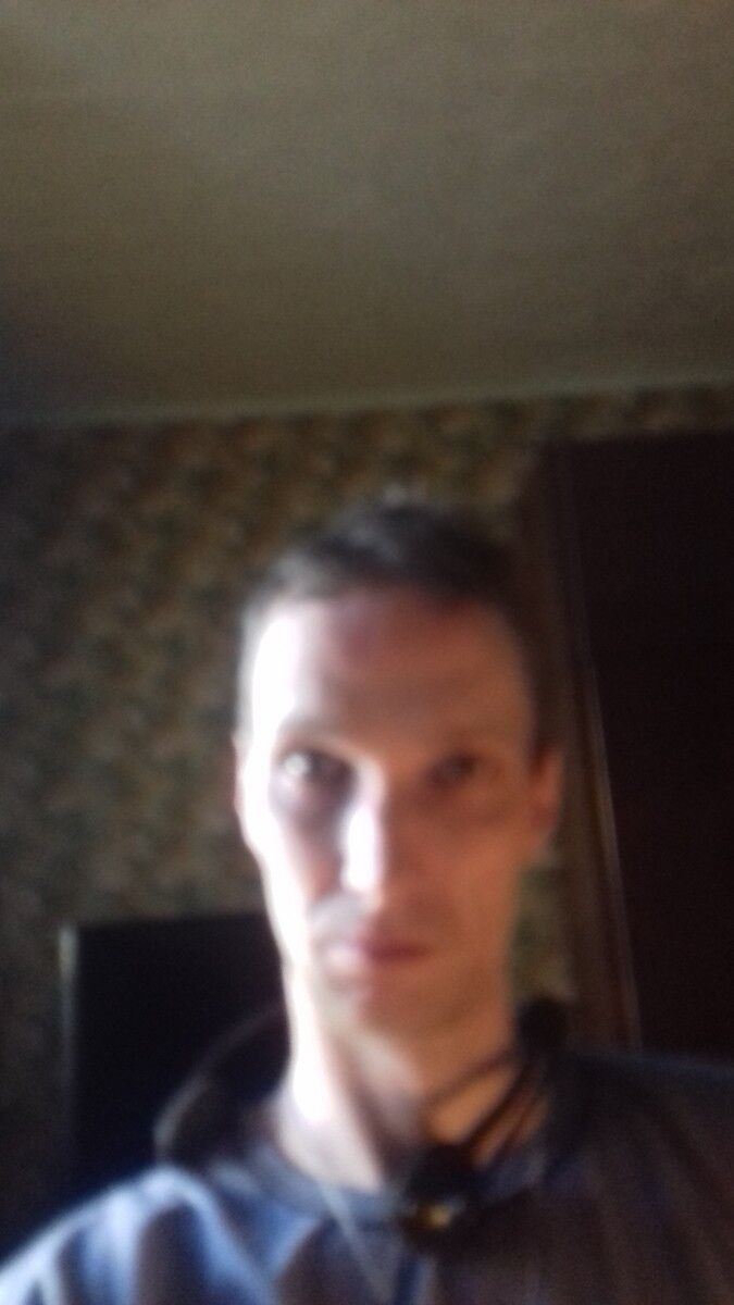   ,   , 41 ,   