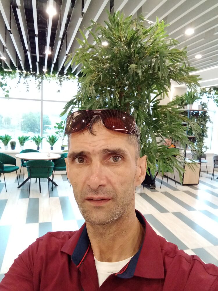  40034679  , 42 ,    