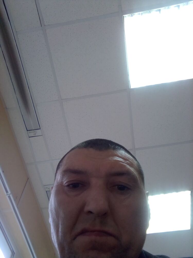  43342269  , 49 ,    