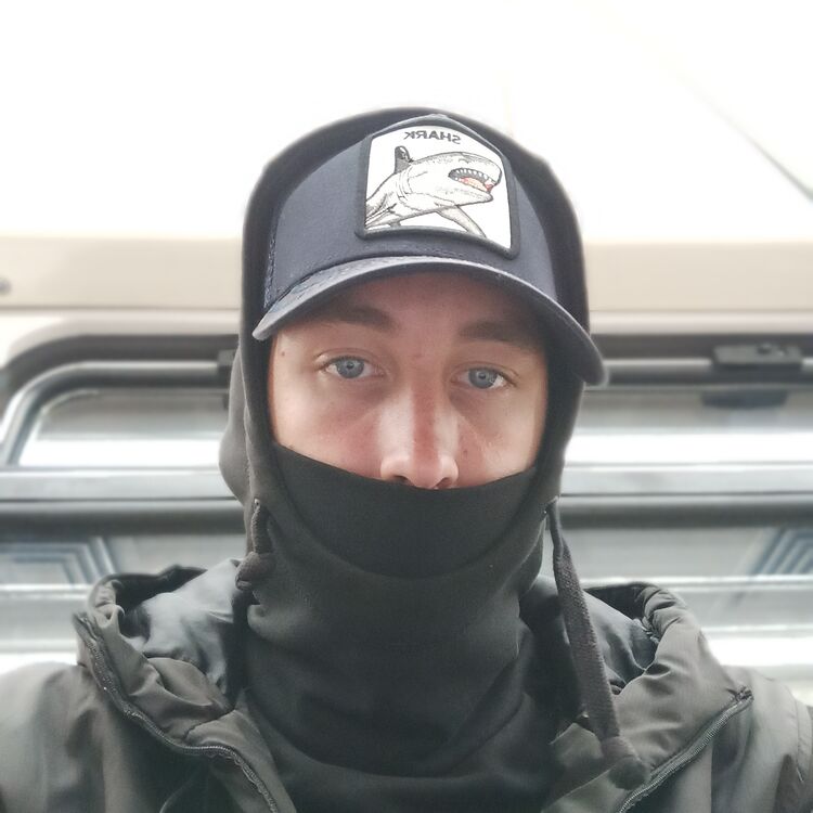 ���� 37772359 ����� ���������, 24 ����, ���� ���������� � ��������