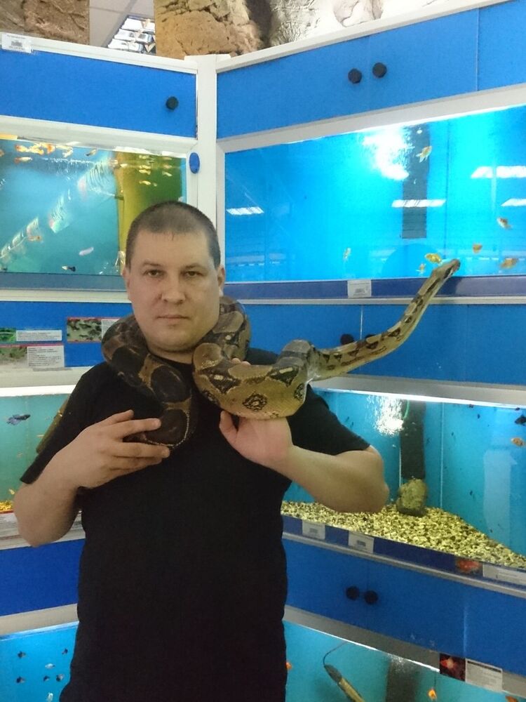 ���������� ������, ���� ������� ����������, 49 ���, ������������ ��� ������, ����� � ���������, c�������� ���������