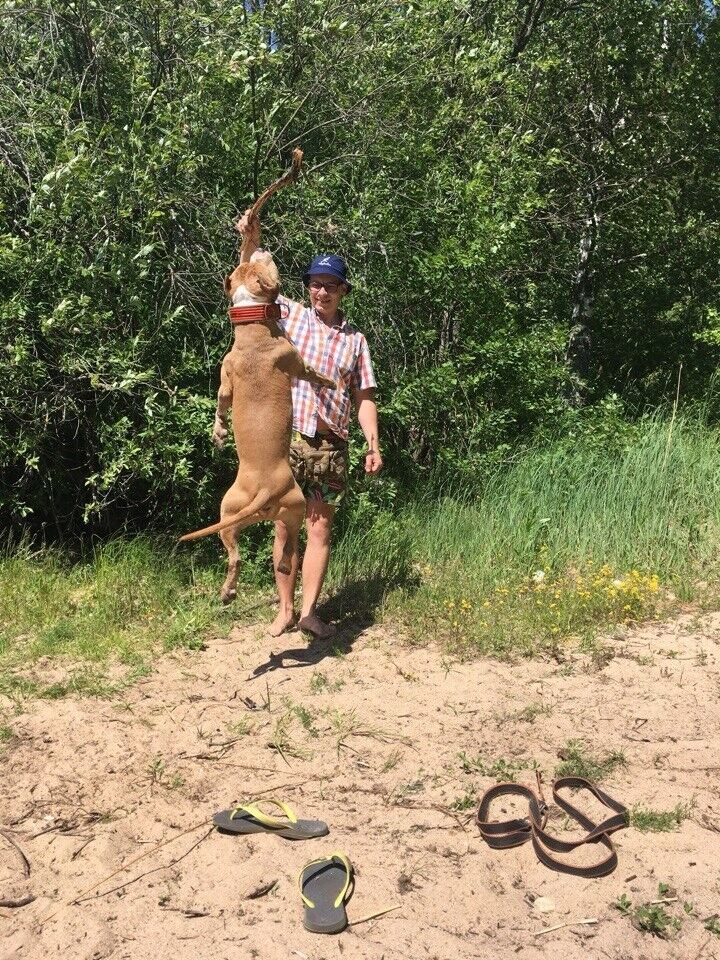 ���� 15688449 ������� ������, 37 ���, ���� ���������� � ������