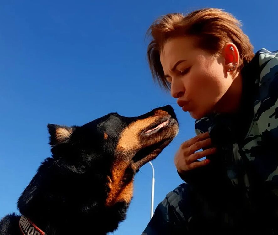 ���� 29480019 ������� ���������, 38 ���, ���� ���������� � ����������