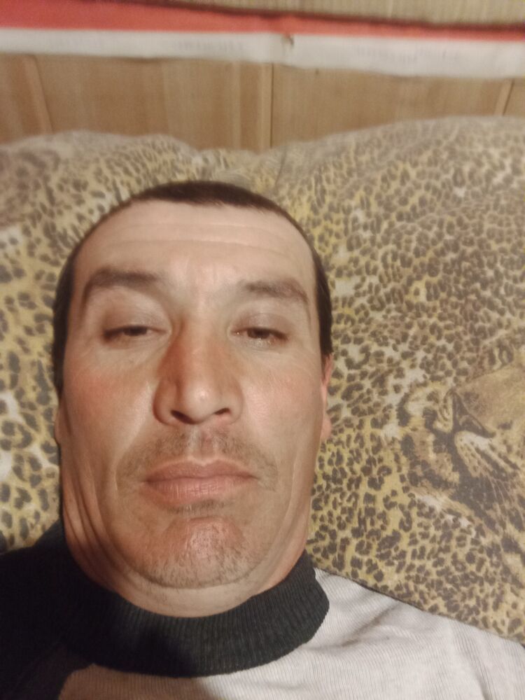  50013699  , 41 ,    