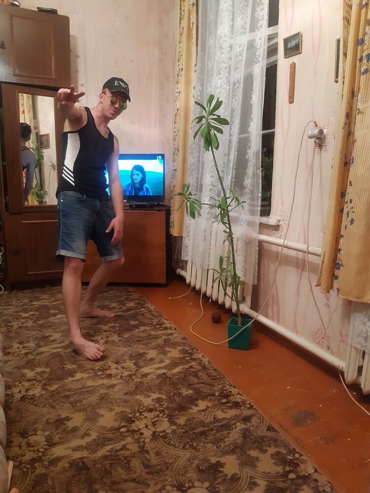  26087979  , 31 ,    