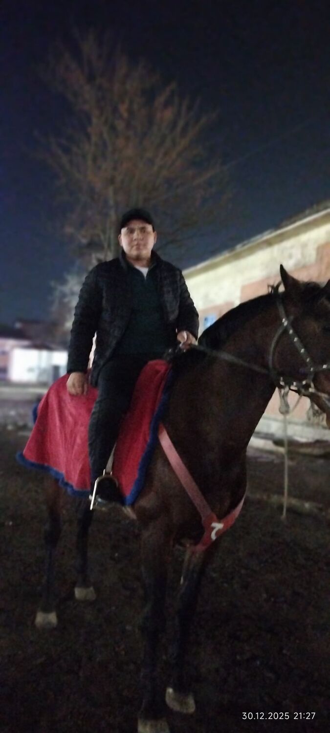 ���� 56128359 ����� Nabiy, 22 ����, ���� ���������� � ������