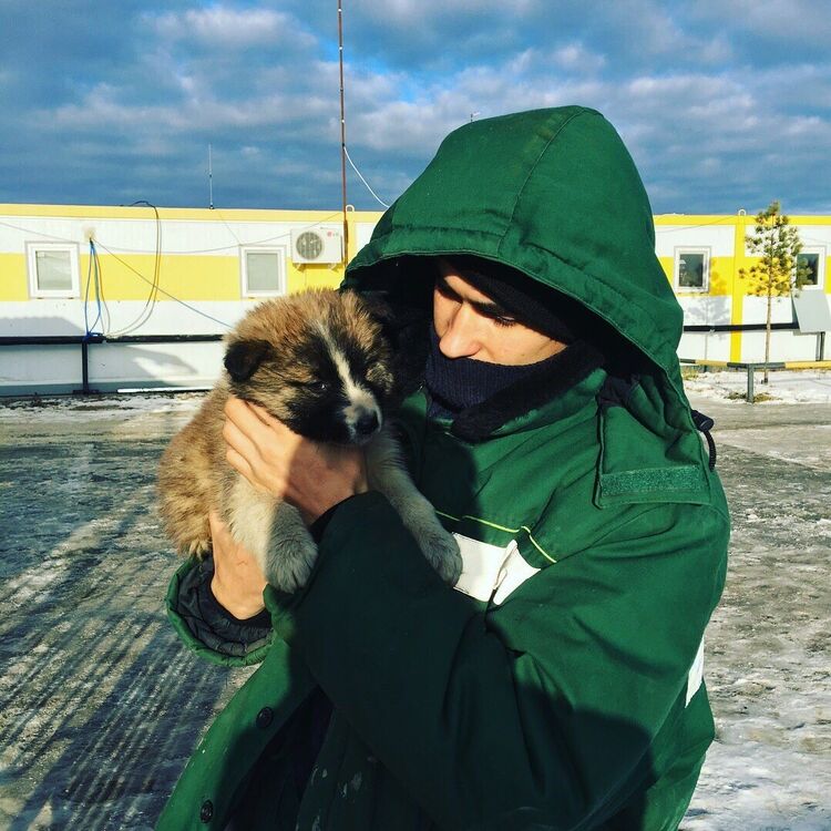 ���� 10818179 ������� �������, 31 ���, ���� ���������� � ���