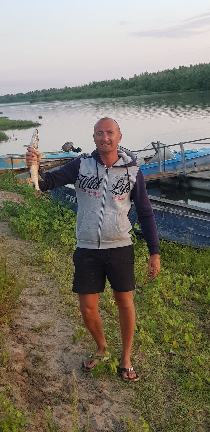 ���� 29611029 ������� �������, 39 ���, ���� ���������� � ������