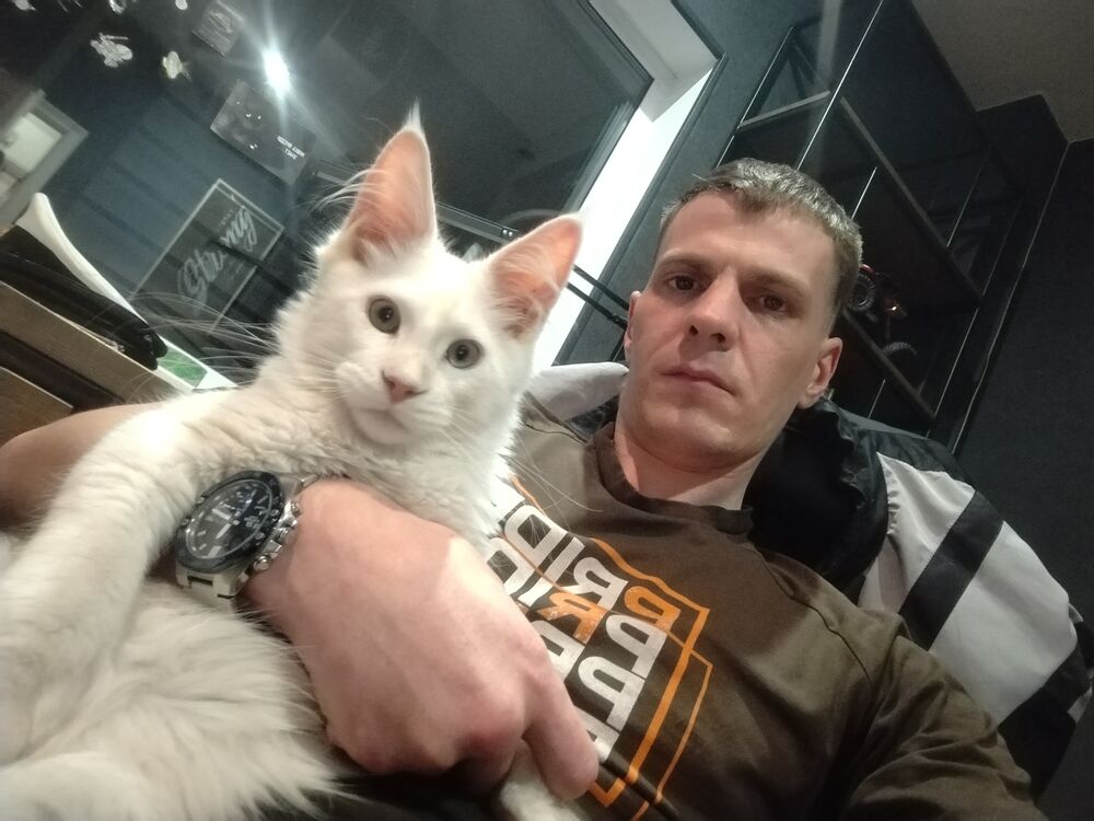 ���� 51439389 ������� ����, 31 ���, ���� ���������� � ������������