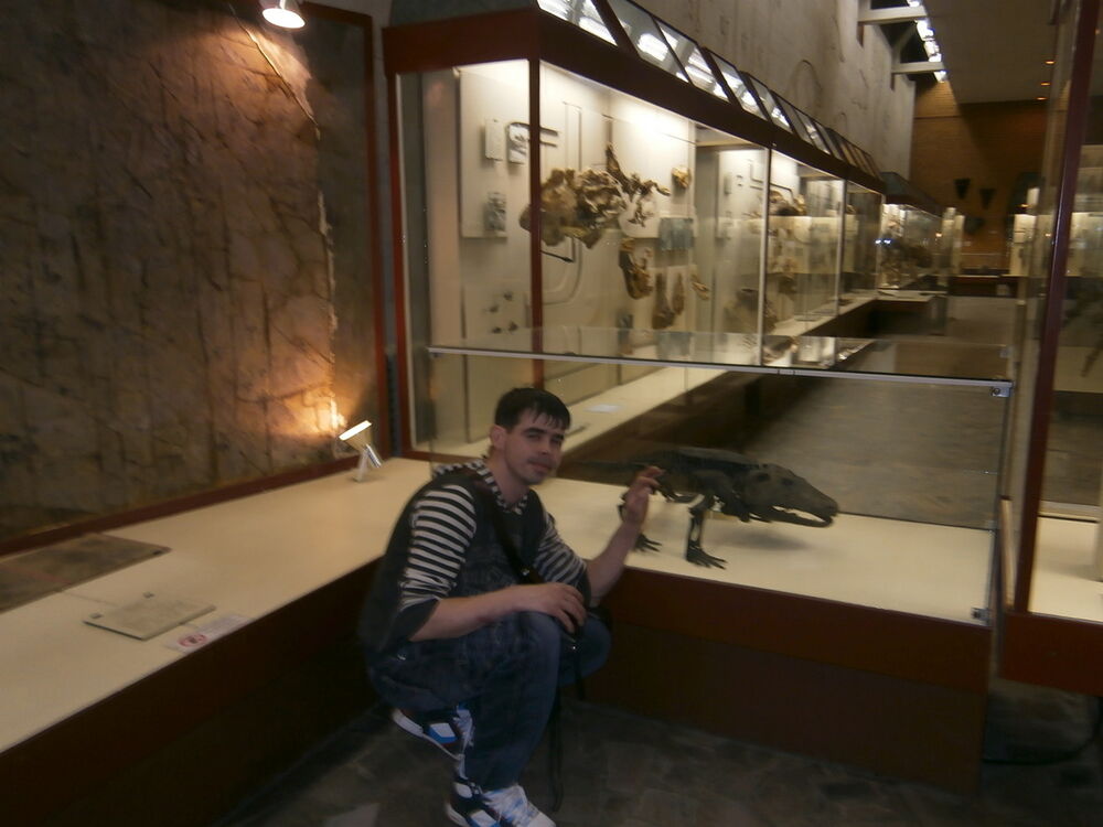 ���������� �����, ���� ������� ����������, 42 ����, ������������ ��� ������