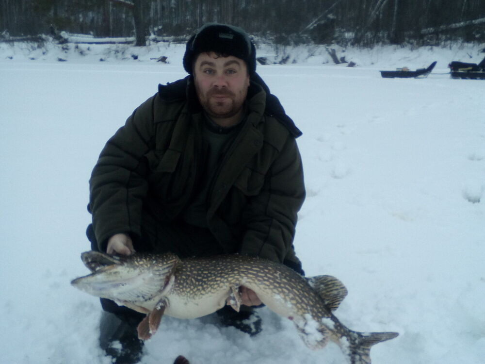 ���������� ���������, ���� ������� �������, 43 ����, ������������ ��� ������, ����� � ���������, c�������� ���������