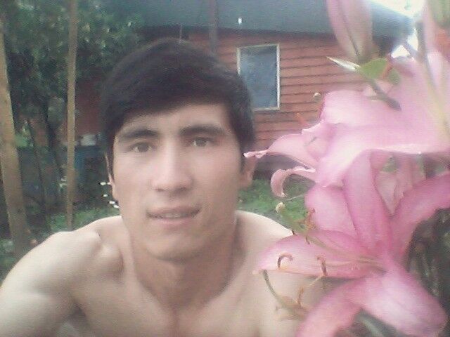 ���������� ������ ��������, ���� ������� �����, 33 ����, ������������ ��� ������, ����� � ���������, c�������� ���������