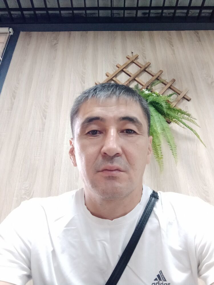  40831599  , 40 ,    