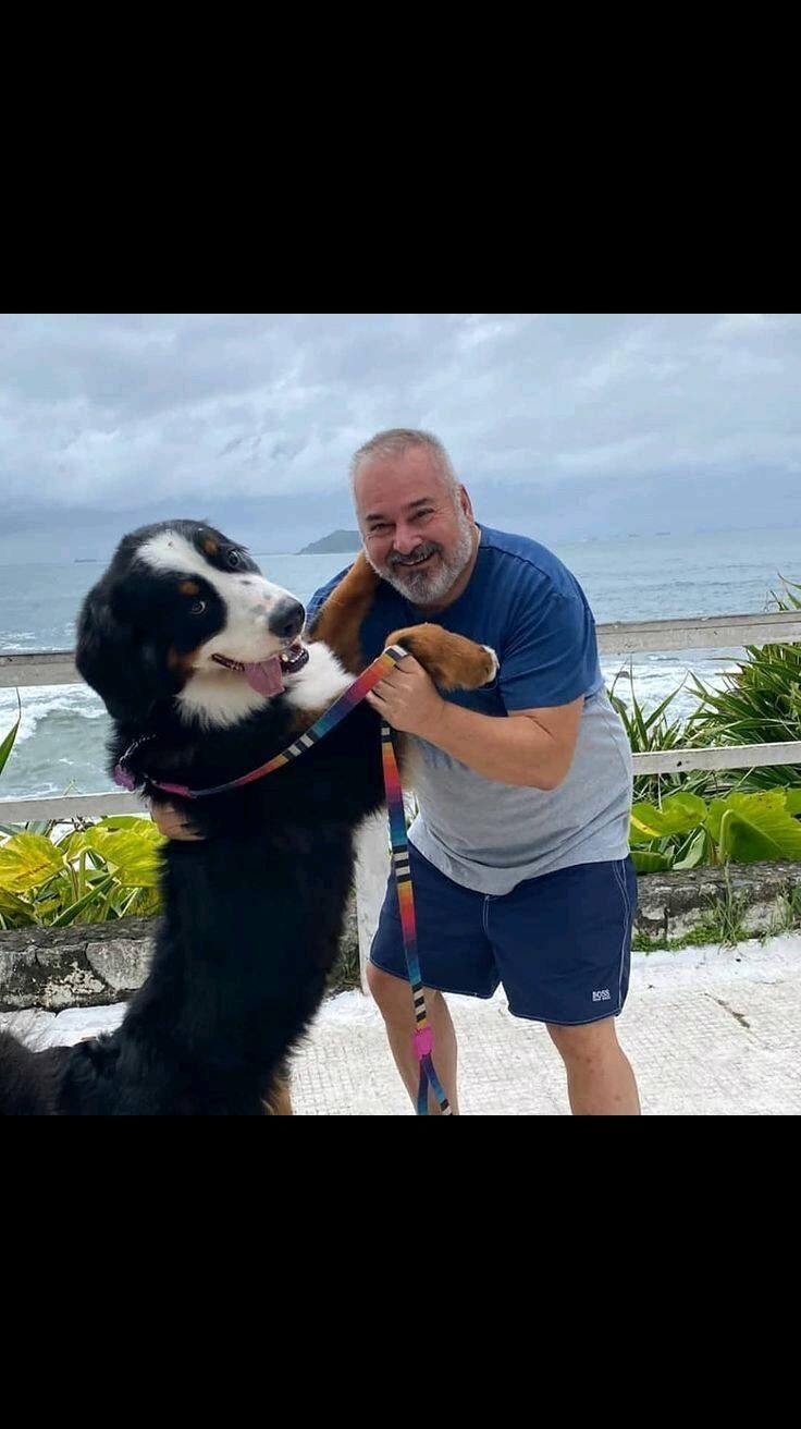 ���������� ������, ���� ������� ���� ����, 62 ����, ������������ ��� ������, ����� � ���������